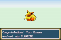 2 Bunsen the Flareon.PNG