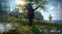 ffxiv7.png