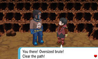 poke5.jpg