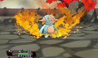 poke8.jpg