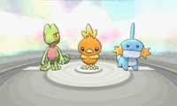 poke10.jpg