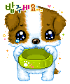 …Soras♥Humps…