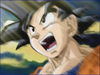 Goku_The_Protector