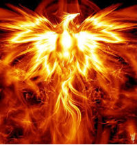 EnigmaticPhoenix