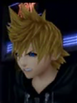 Organization Member XIII